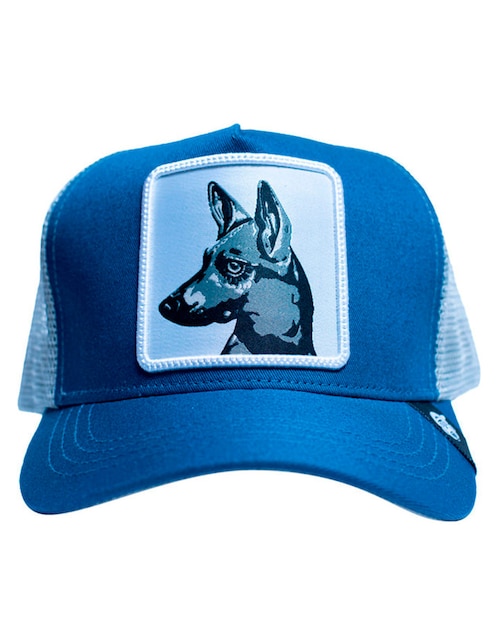 Gorra con visera curva casual Pook Iconos