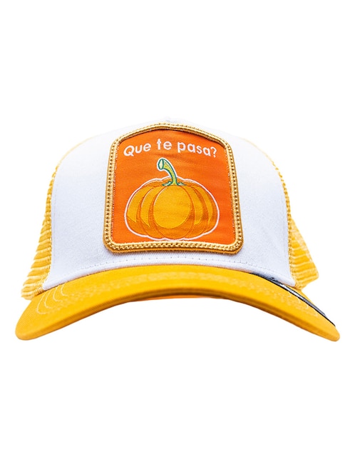Gorra con visera curva béisbol Pook Frase