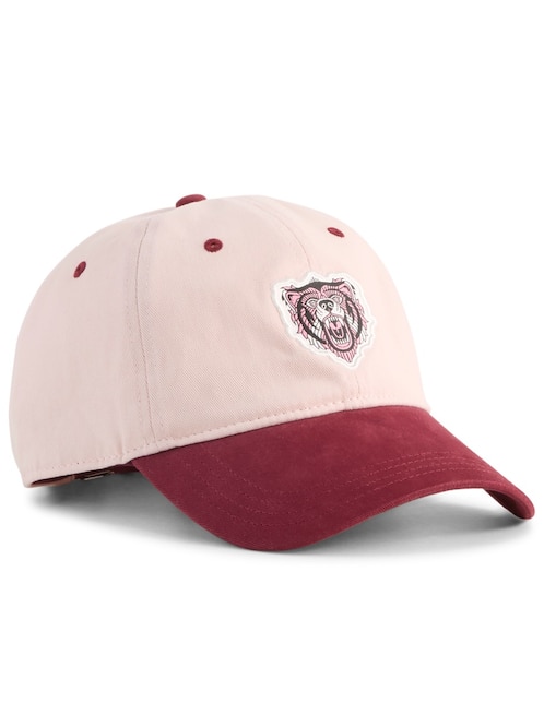 Gorra con visera curva ara entrenamiento Puma Graphic Dad Cap para hombre