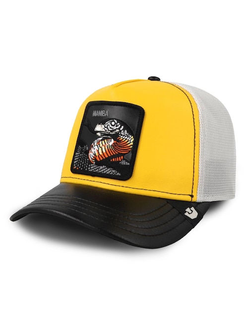 Gorra visera curva snapback casual Fall Winter para adulto 1