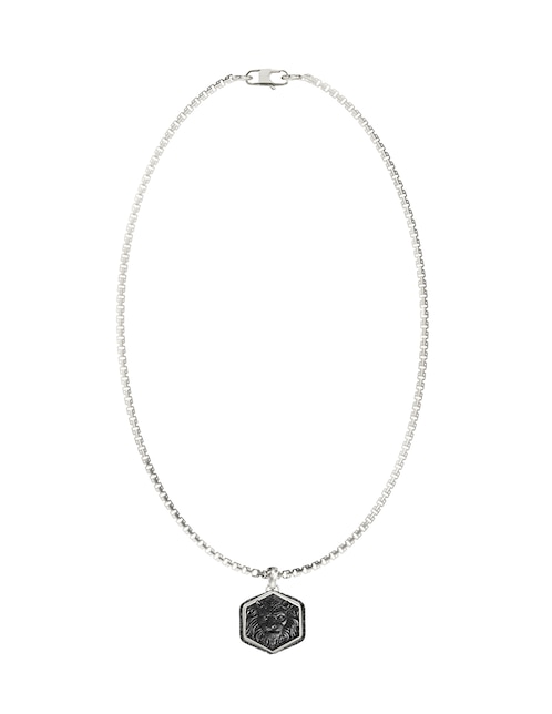 Collar de león 1