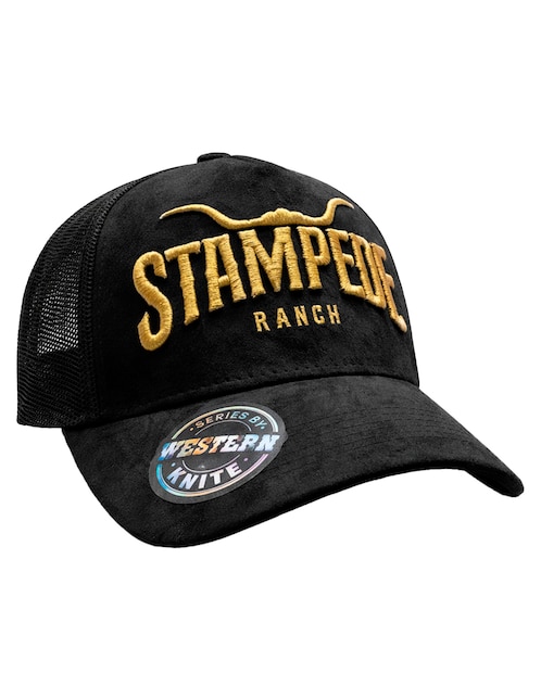 Gorra visera curva snapback casual Knite para hombre