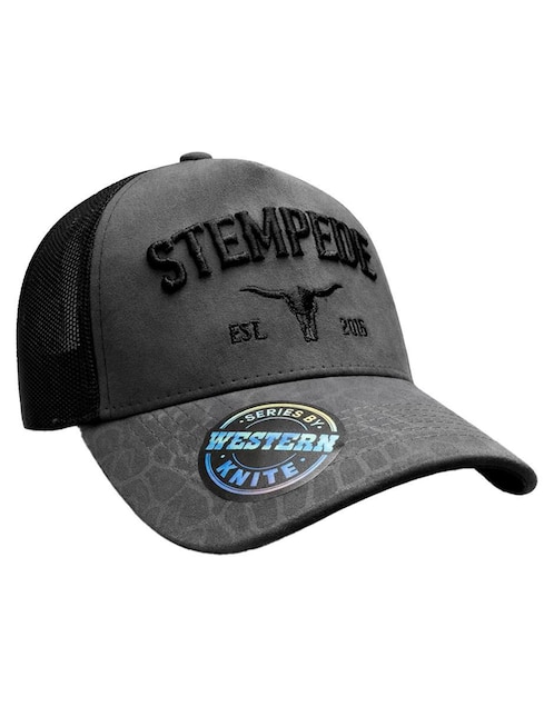 Gorra visera curva snapback casual Knite para hombre