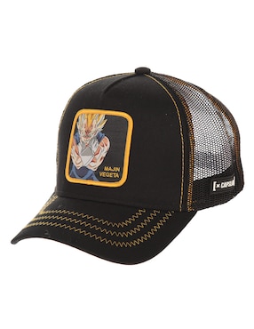 Gorra visera curva snapback casual Capslab