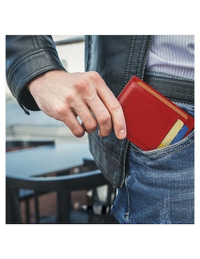 Cartera Vedicci para hombre