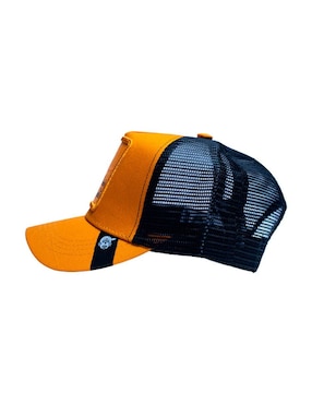 Gorra con visera curva casual Pook Frase