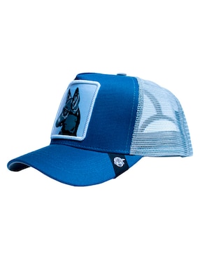 Gorra con visera curva casual Pook Iconos