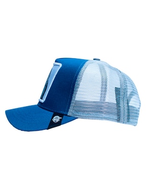 Gorra con visera curva casual Pook Iconos