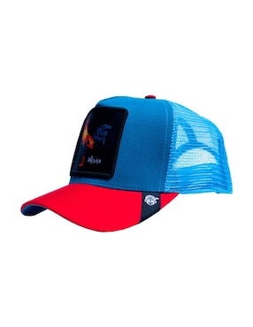 Gorra con visera curva casual Pook Iconos