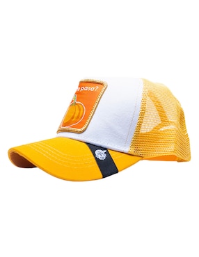 Gorra con visera curva béisbol Pook Frase