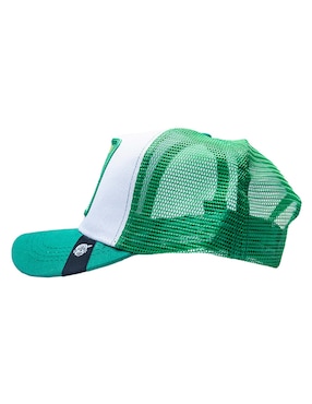 Gorra con visera curva béisbol Pook Frase