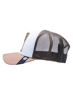 Gorra con visera curva béisbol Pook Frase