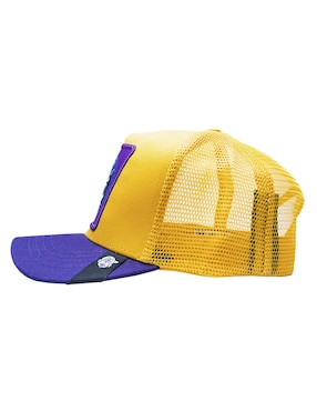 Gorra con visera curva béisbol Pook Icono