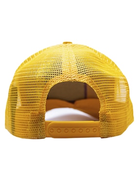 Gorra con visera curva béisbol Pook Icono