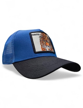 Gorra Visera Curva Snapback Knite Jaguar Para Adulto