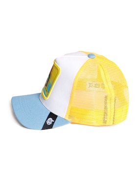 Gorra con visera curva casual Pook