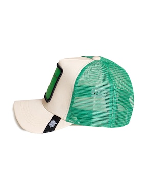 Gorra con visera curva casual Pook