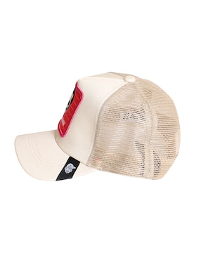Gorra con visera curva casual Pook