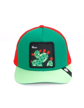 Gorra con visera curva casual Pook