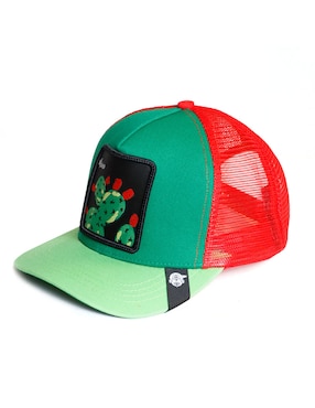 Gorra con visera curva casual Pook