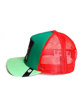 Gorra con visera curva casual Pook