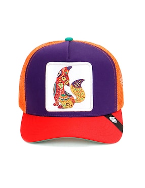 Gorra con visera curva casual Pook