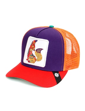 Gorra con visera curva casual Pook