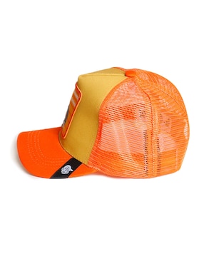 Gorra con visera curva casual Pook