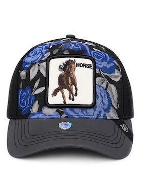 Gorra visera curva snapback Knite para hombre