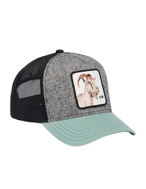 Gorra visera curva snapback casual Goorin Bros unisex