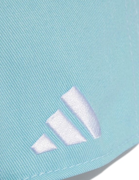 Gorra con visera curva broche para fútbol Fifa World Cup Argentina Afa Selección De De Argentina para adulto