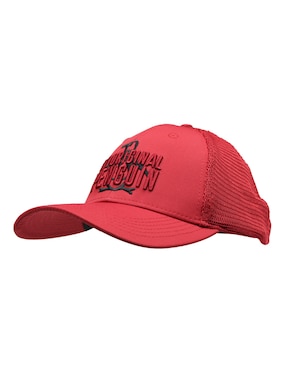 Gorra visera curva broche casual Original Penguin para hombre