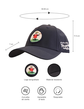 Gorra visera curva broche para Ninguna Original Penguin para hombre