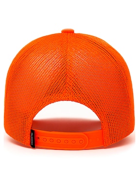 Gorra visera curva snapback casual Knite para hombre