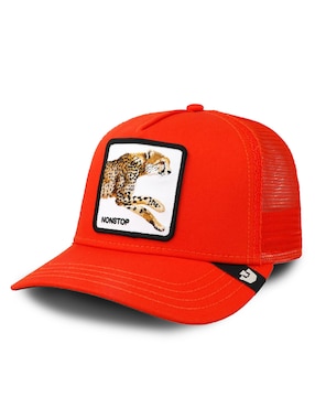 Gorra visera curva snapback casual Goorin Bros Fall Winter para adulto