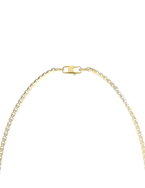 Collar Guess