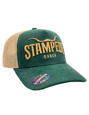 Gorra visera curva snapback casual Knite para hombre