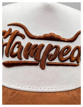 Gorra visera curva snapback casual Knite para hombre