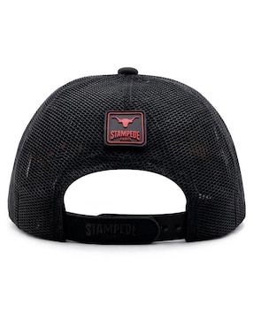 Gorra visera curva snapback casual Knite para hombre