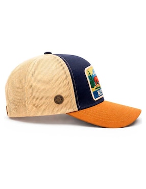 Gorra visera curva snapback casual Knite para hombre