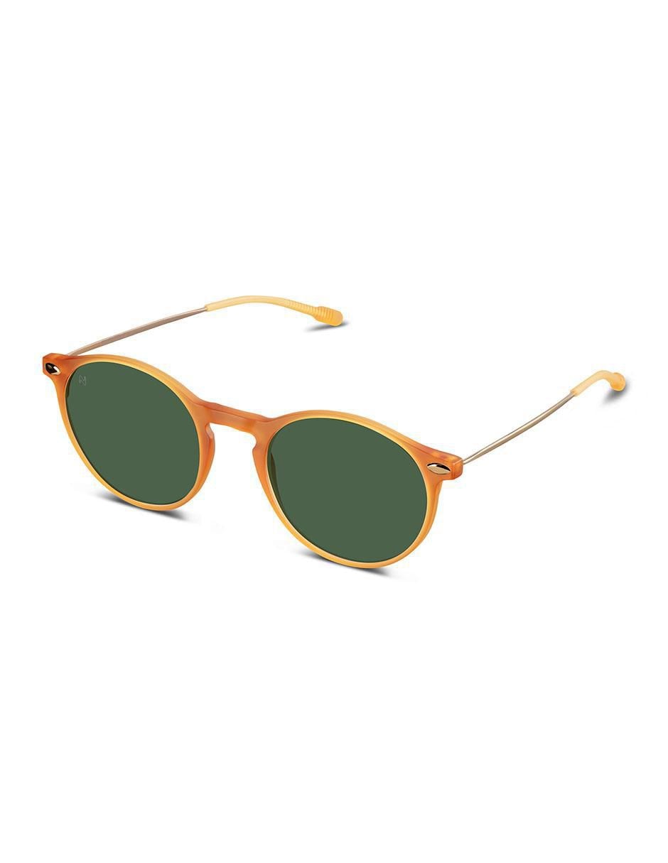 Nooz optics essential sun cruz