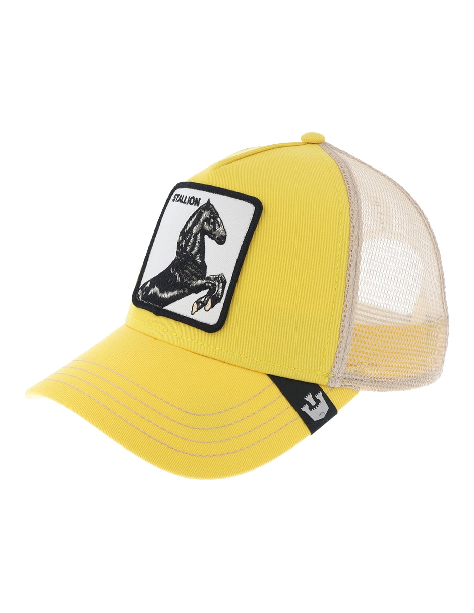 Gorra con visera curva snapback para adulto 3