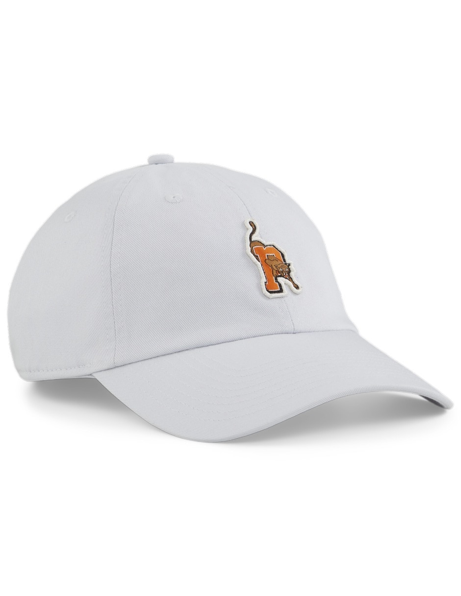 Puma baseball cap hotsell