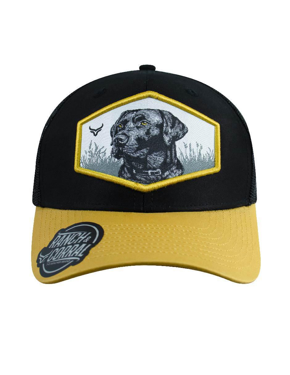 Gorra visera semicurva snapback unisex 2