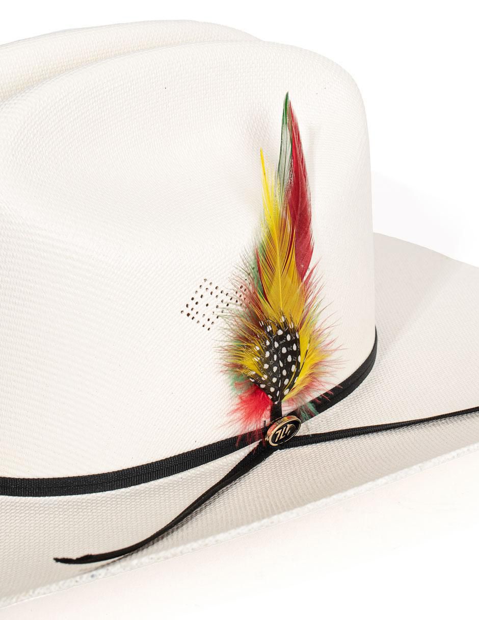 Sombrero estampado liso 2