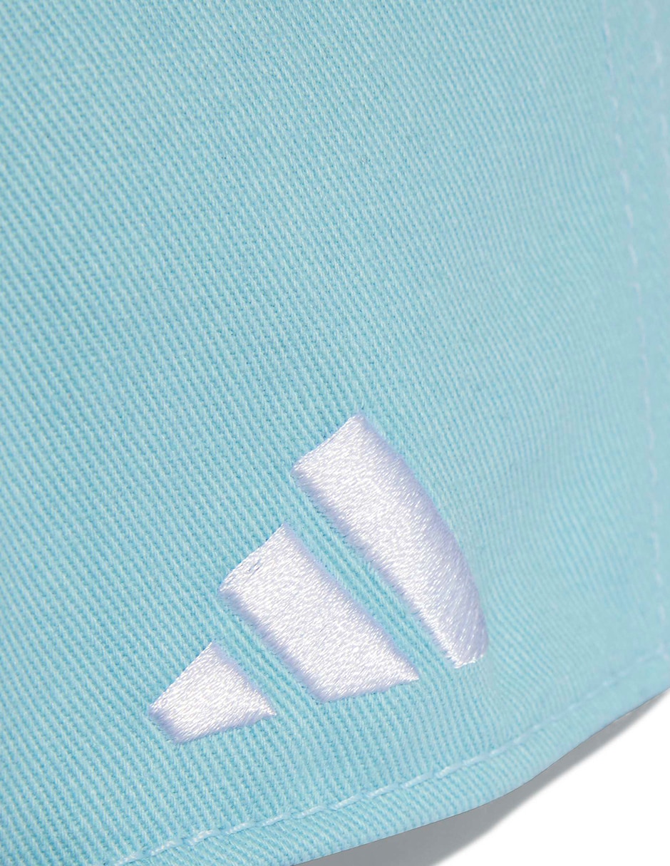 Gorra con visera curva broche para fútbol Argentina Afa Selección De De Argentina para adulto 2
