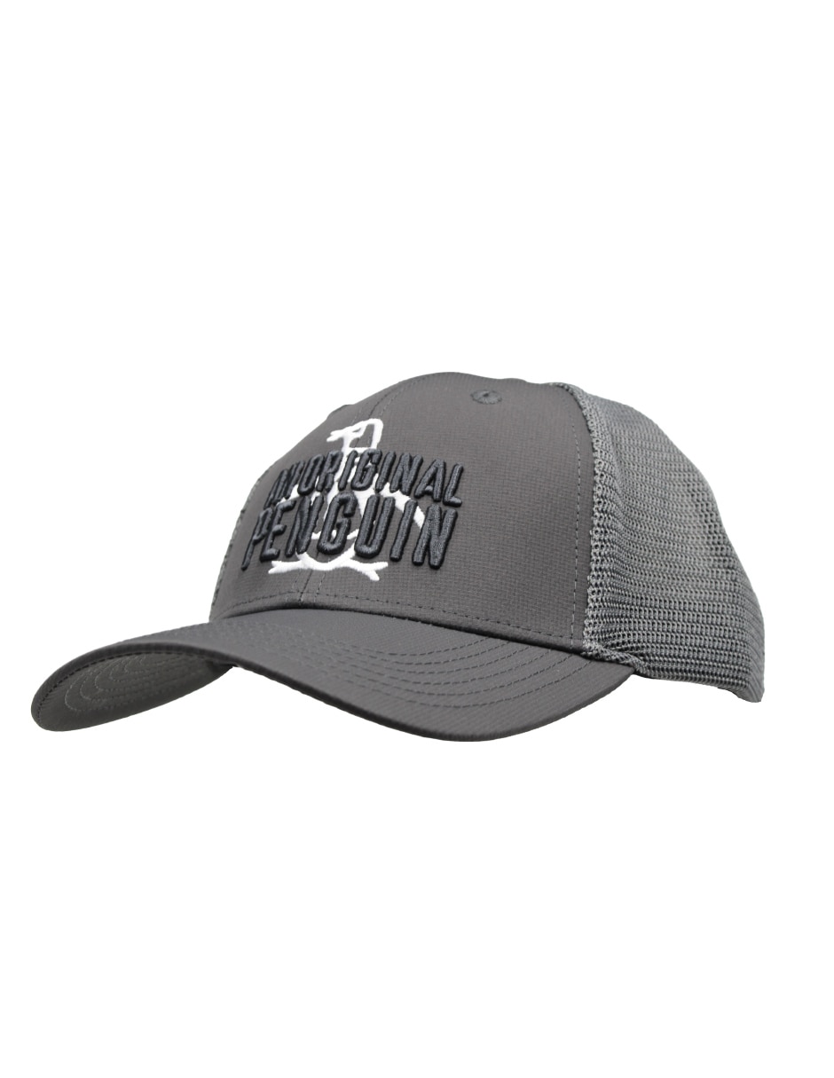 Gorra con visera curva snapback para hombre