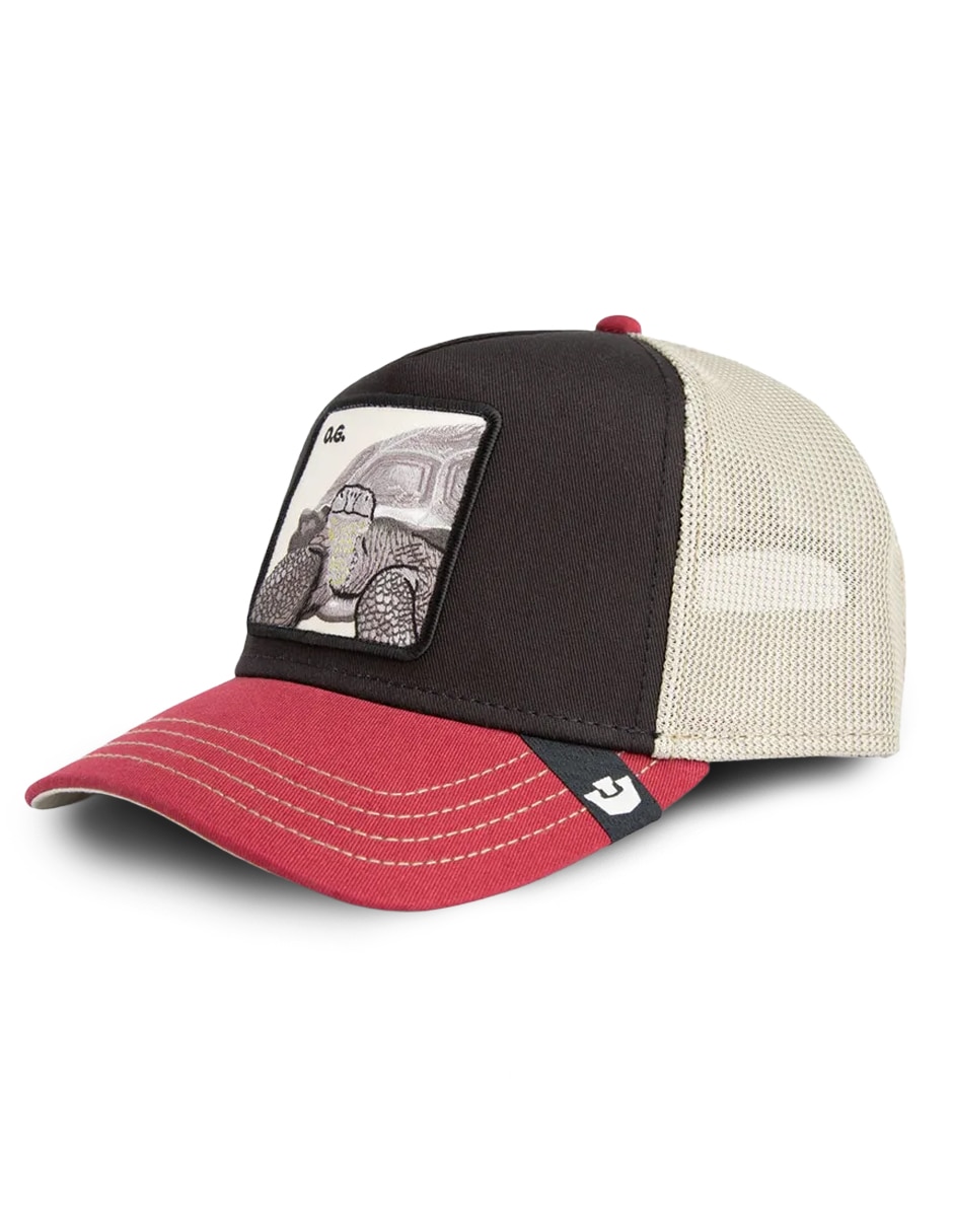 Gorra visera curva snapback casual Fall Winter para adulto