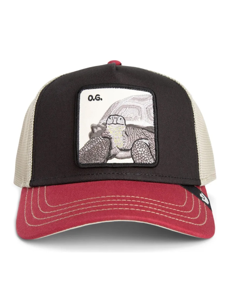 Gorra visera curva snapback casual Fall Winter para adulto 3