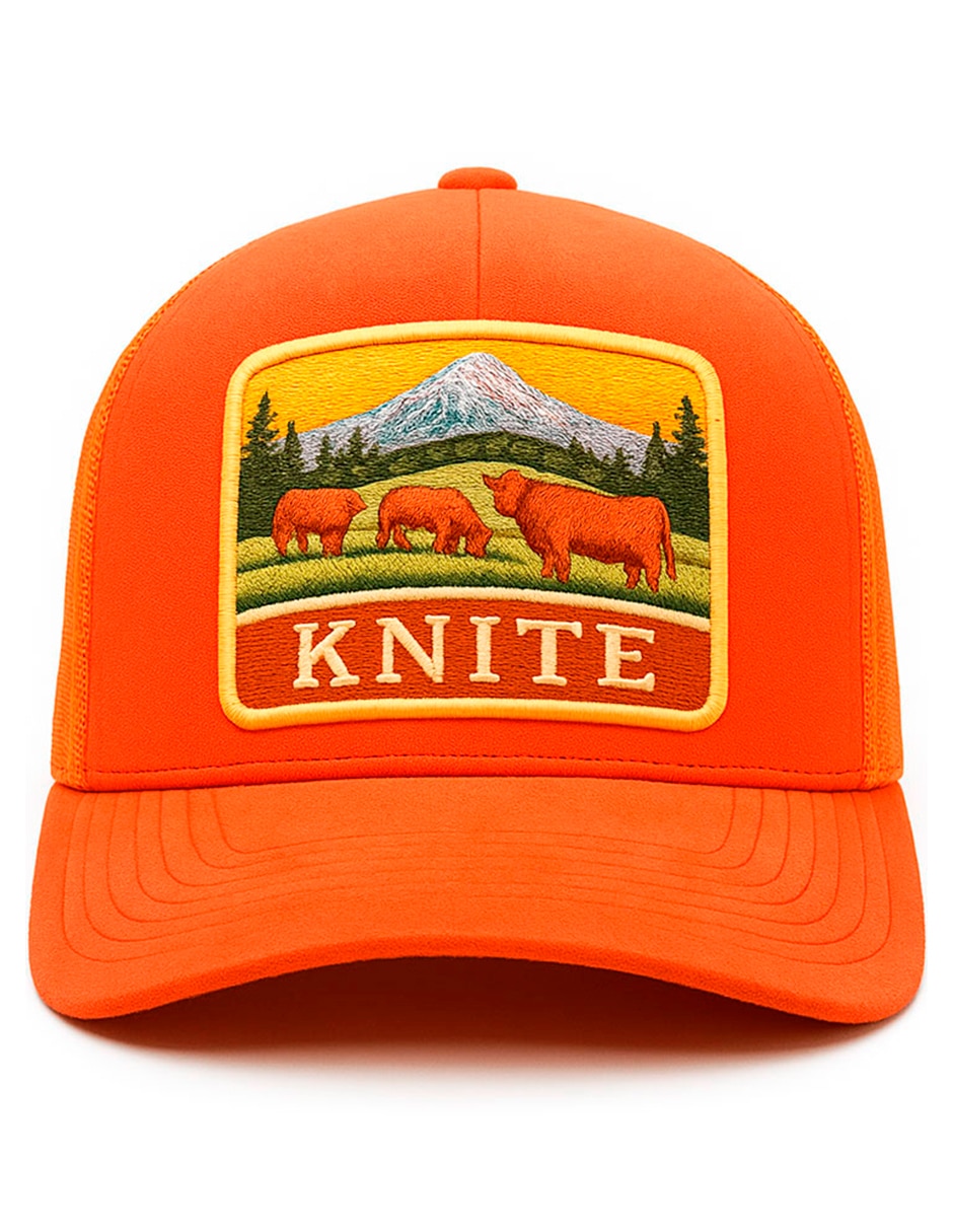 Gorra visera curva snapback casual para hombre 5